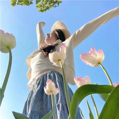 安娜波里斯传奇